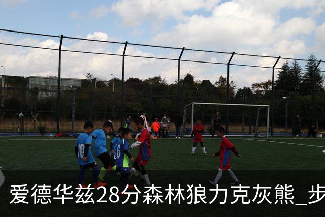 爱德华兹28分森林狼力克灰熊 步行者险胜国王